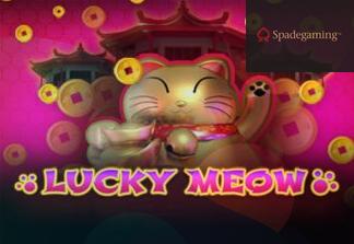 Lucky Meow
